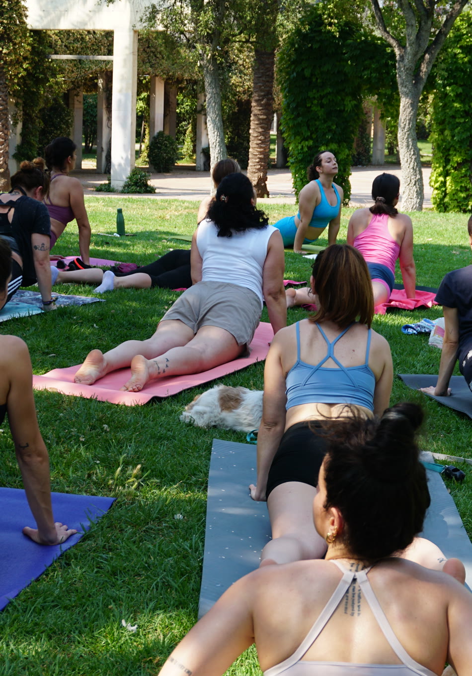 Clase de yoga al aire libre sobre el césped del Jardín del Turia